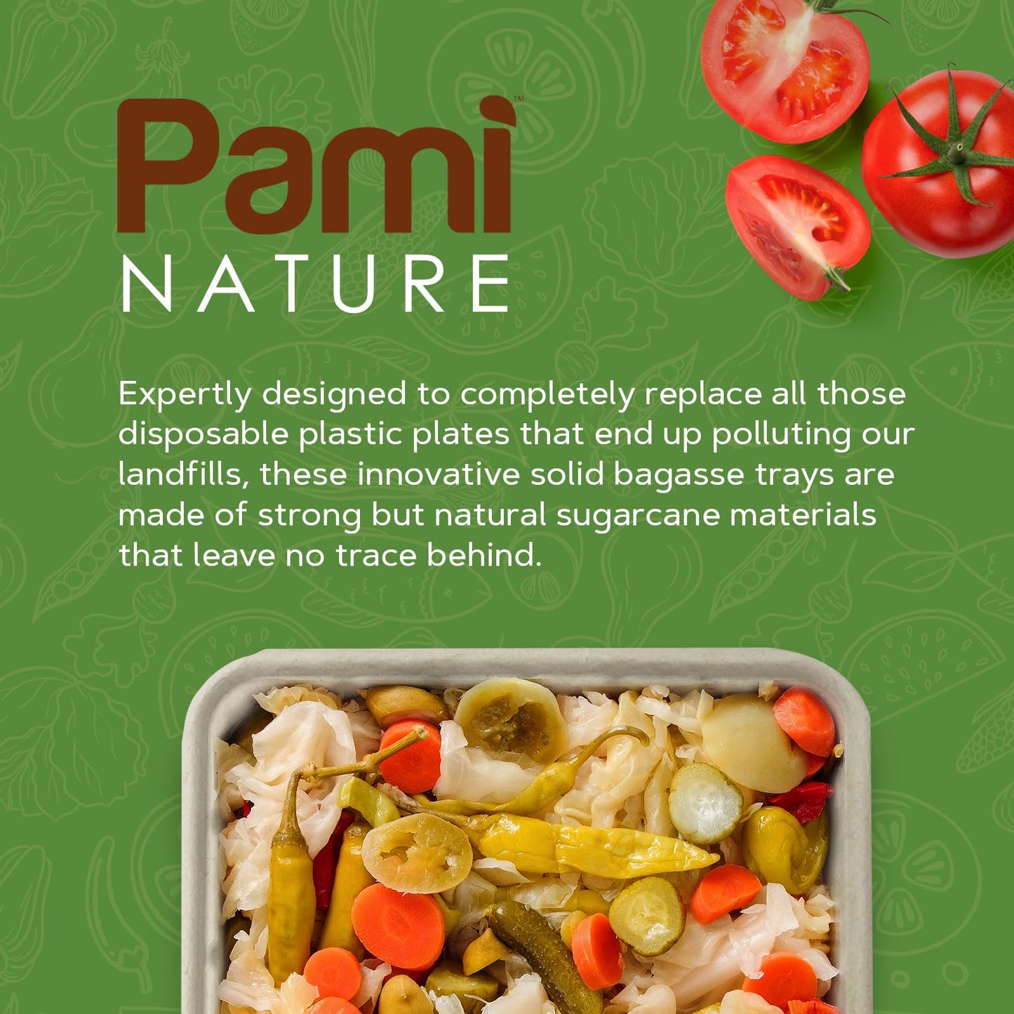 9x12” Compostable Bagasse Food Trays – Biodegradable, 250ct