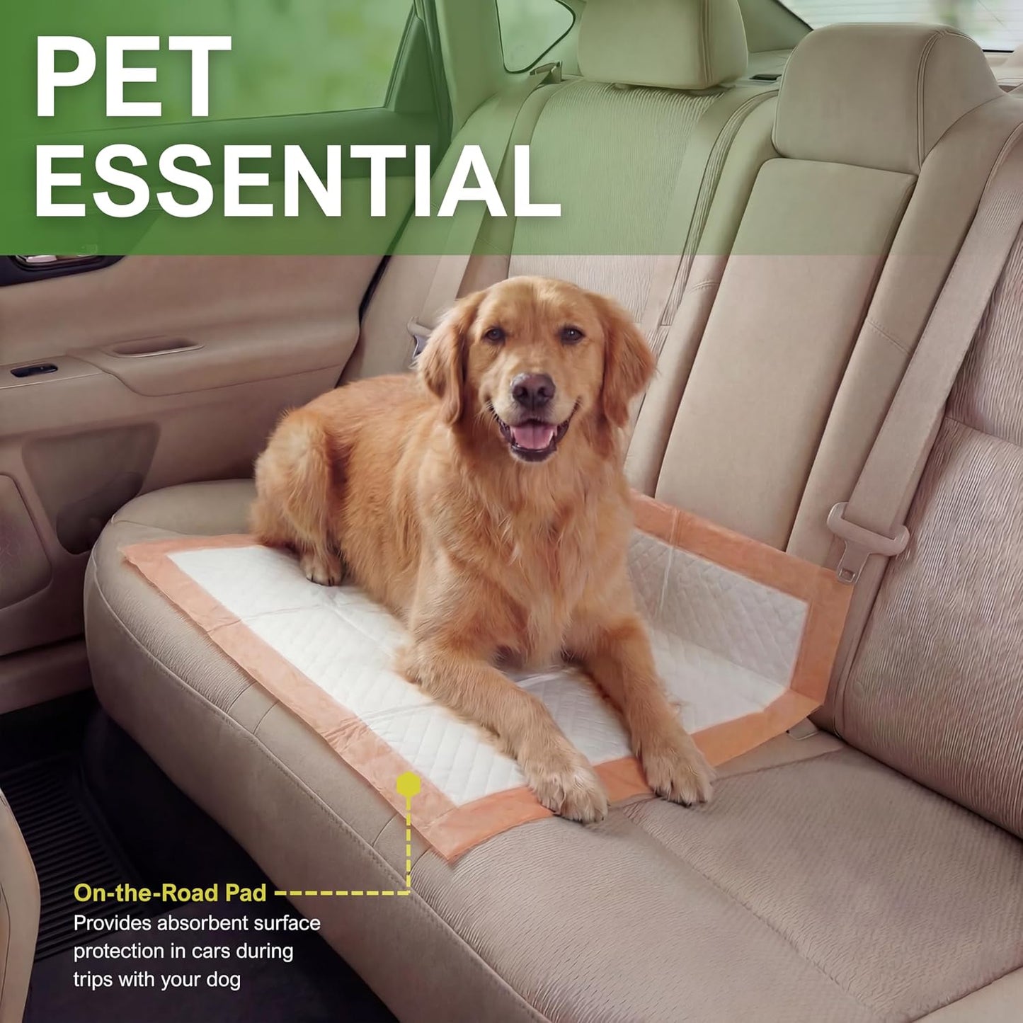 Travel Pack Dog Training Pads – 22" × 24" Ultra Absorbent
