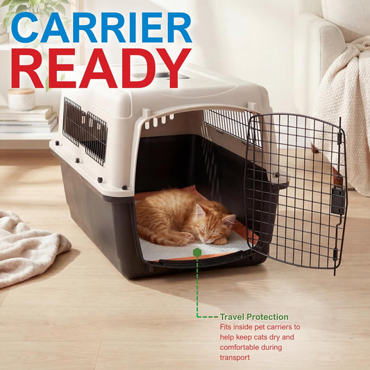 Travel Pack Dog Training Pads – 22" × 24" Ultra Absorbent