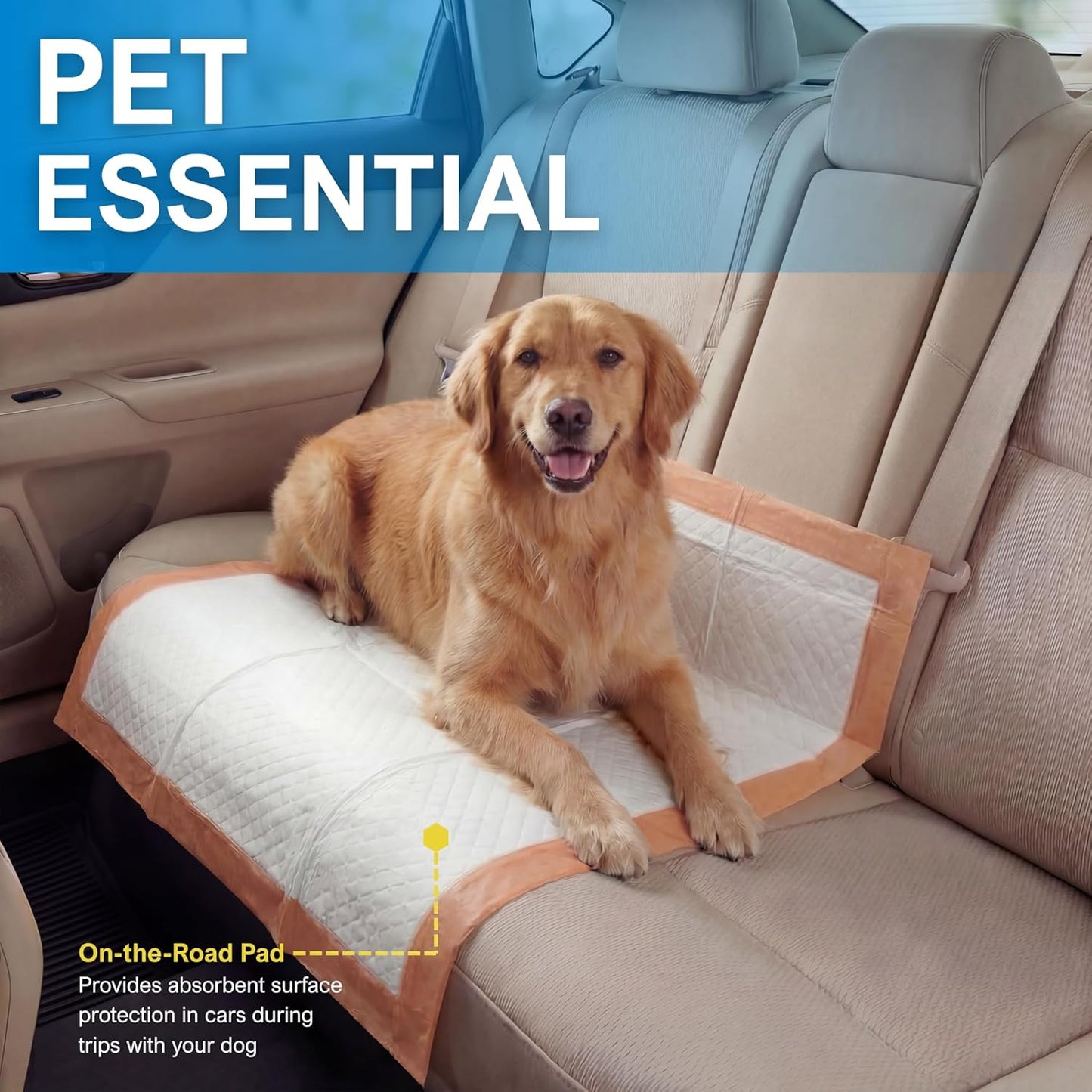 Dog Training Pads 30" x 30" – Leakproof Puppy Pee Pads