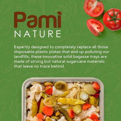9x12” Compostable Bagasse Food Trays – Biodegradable, 250ct