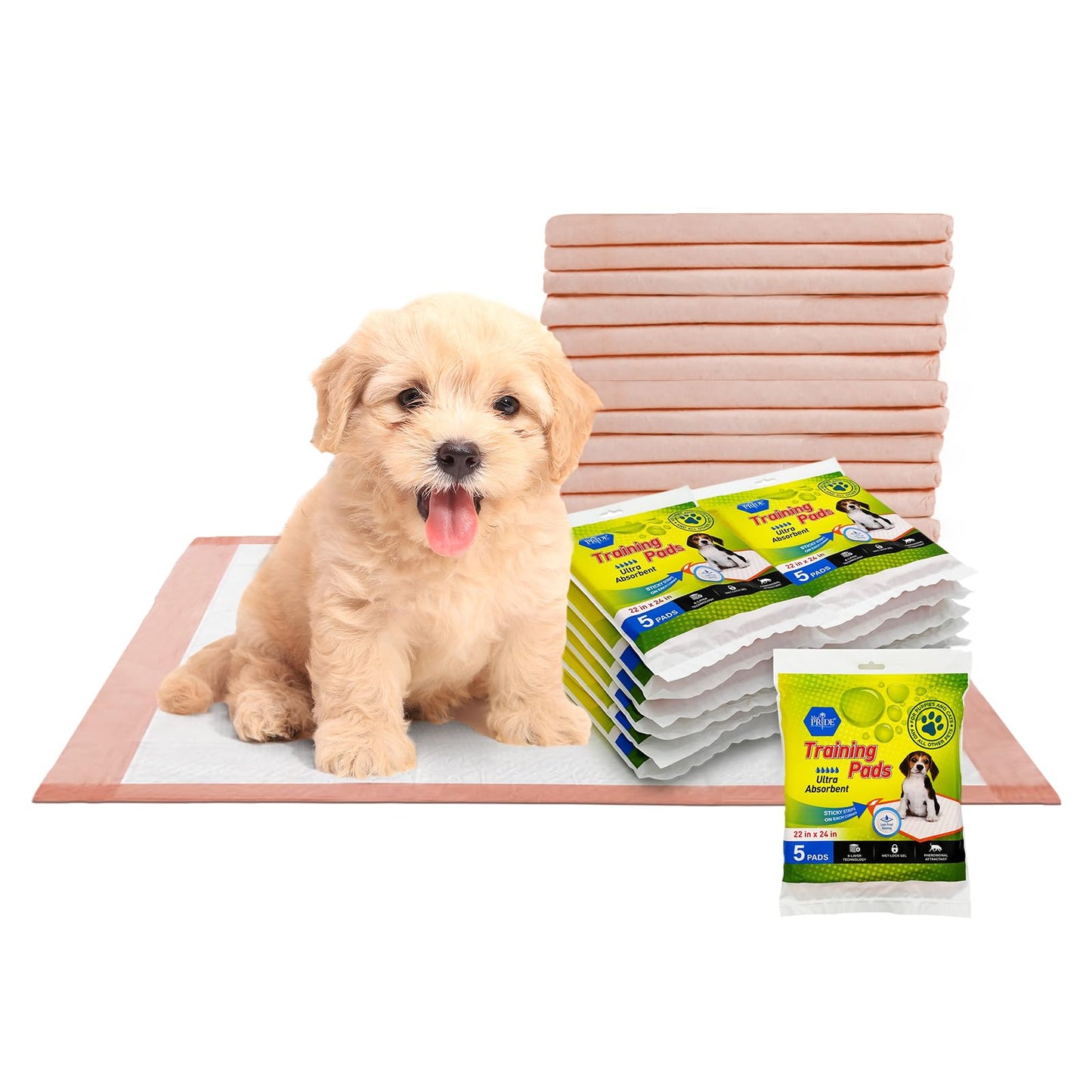 Travel Pack Dog Training Pads – 22" × 24" Ultra Absorbent