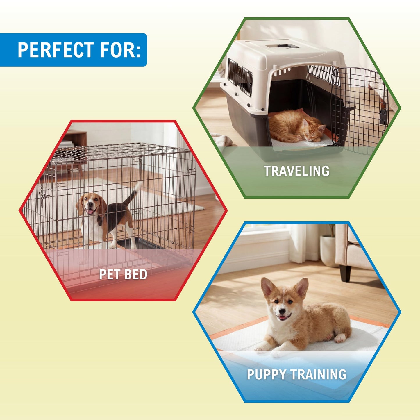 Travel Pack Dog Training Pads – 22" × 24" Ultra Absorbent