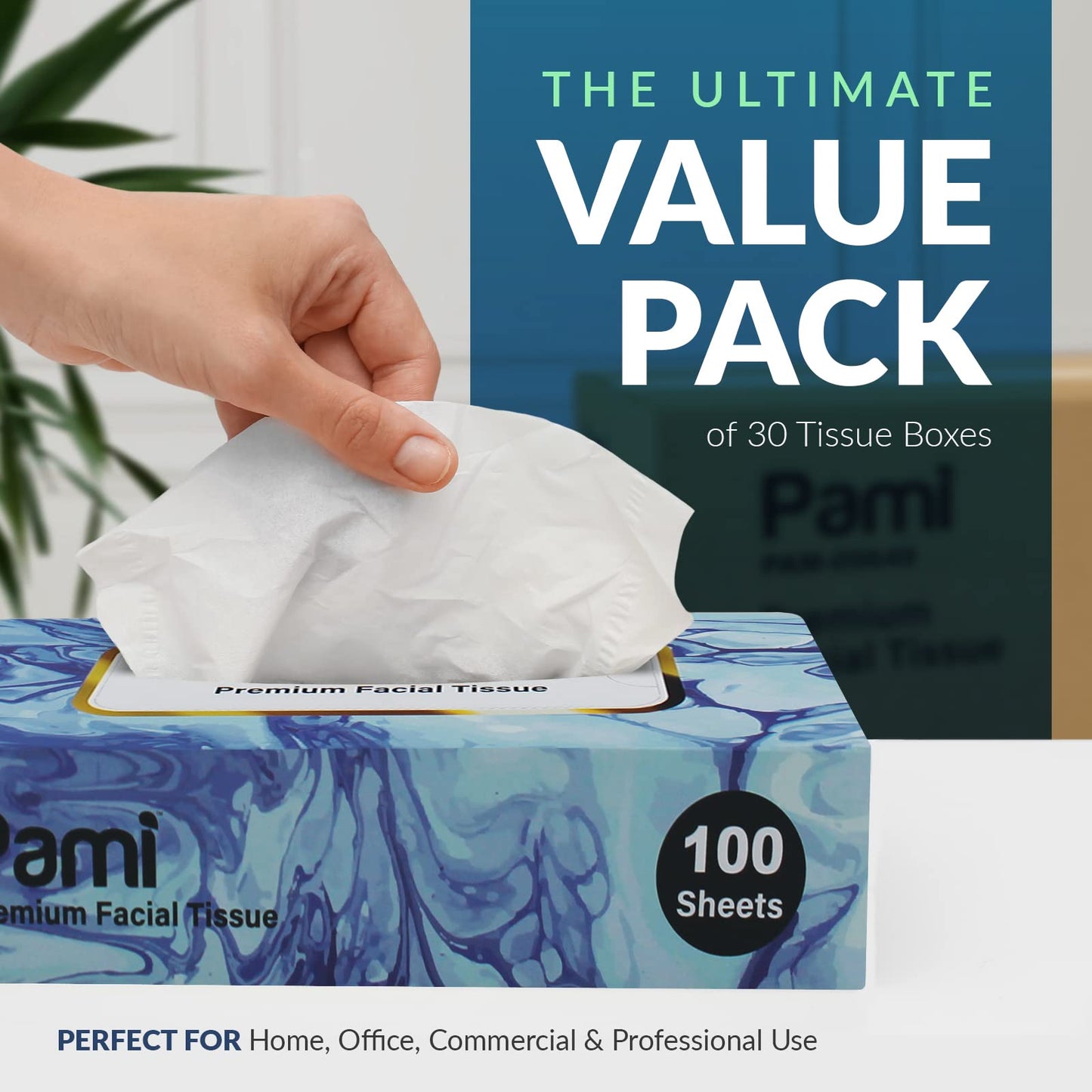 Premium Facial Tissues Ultra Soft 3 Ply - 30 Boxes of 100 Tissues